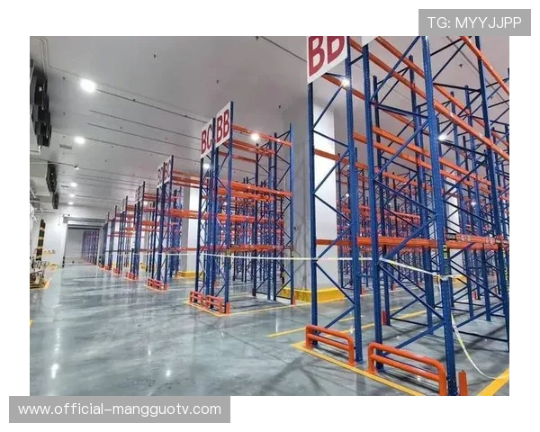 智慧仓储系统在体育物流环节加速落地，优化全链路响应时效